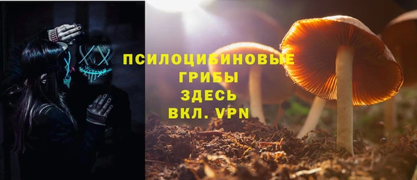 jwh Аркадак