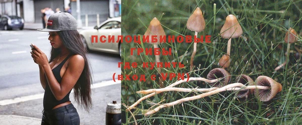 jwh Аркадак