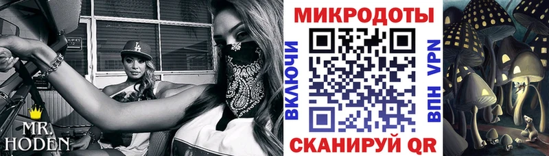 дарк нет телеграм  Полевской  Псилоцибиновые грибы мицелий  где продают  