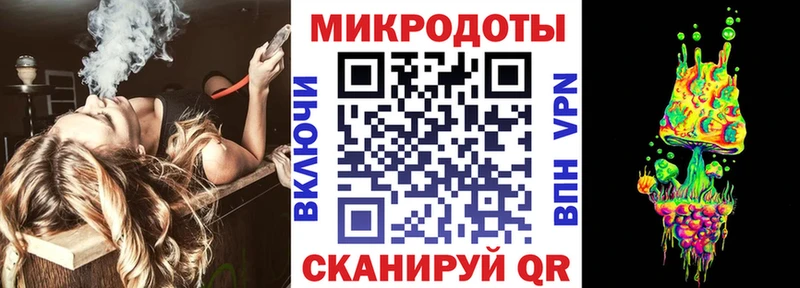 Галлюциногенные грибы Psilocybine cubensis Полевской